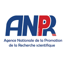Partner Logo 9